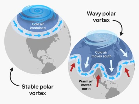 Analysis: Polar Vortex collapse causes heavy winter for North America ...